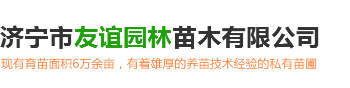 济宁市友谊园林苗木有限公司<br>